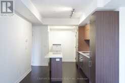 1207 - 21 WIDMER STREET Toronto