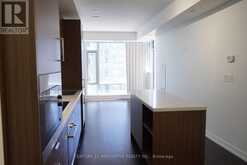 1207 - 21 WIDMER STREET Toronto