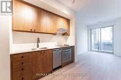 212 - 9 TECUMSETH STREET Toronto