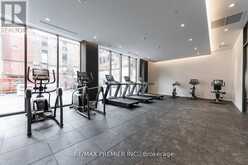 212 - 9 TECUMSETH STREET Toronto