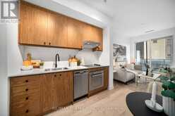 212 - 9 TECUMSETH STREET Toronto