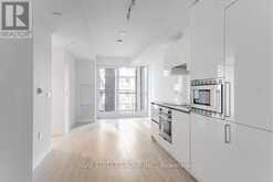 3807 - 238 SIMCOE STREET Toronto