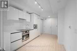 3807 - 238 SIMCOE STREET Toronto