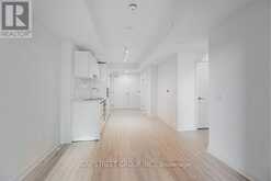 3807 - 238 SIMCOE STREET Toronto