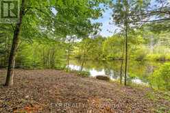 1037 KERNOHAN FARM TRAIL Minden Hills