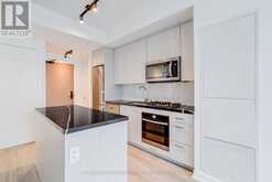 1110 - 195 MCCAUL STREET Toronto