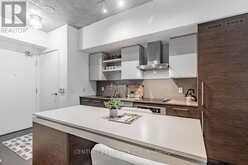 308 - 1030 KING STREET W Toronto