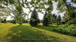 6804 PINE PLAINS ROAD Adjala-Tosorontio