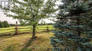 6804 PINE PLAINS ROAD Adjala-Tosorontio