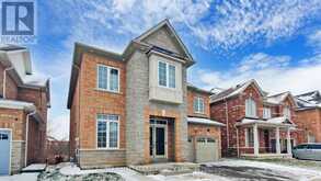 BSMT - 211 ALLEGRO DRIVE Brampton