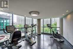 417 - 215 FORT YORK BOULEVARD Toronto