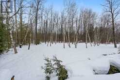 1725 MT ST LOUIS ROAD E Oro-Medonte