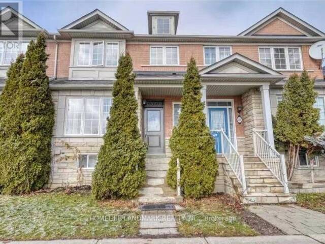 BSMT - 228 BANTRY AVENUE Richmond Hill Ontario