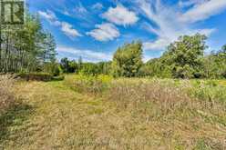 3578 CONCESSION RD 4 Adjala-Tosorontio