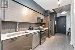 203 - 399 ADELAIDE STREET W Toronto