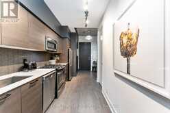 203 - 399 ADELAIDE STREET W Toronto