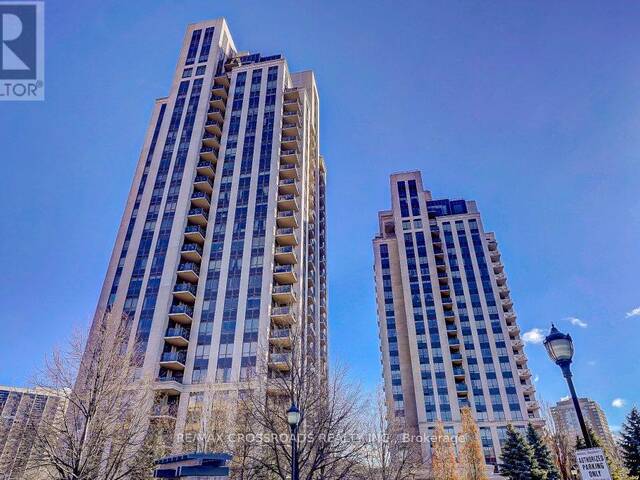 207 - 135 WYNFORD DRIVE Toronto Ontario