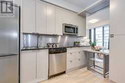 1808 - 111 ELIZABETH STREET Toronto