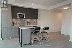 214 - 215 LAKESHORE ROAD W Mississauga