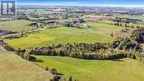 556389 MULMUR MELANCTHON TOWN LINE Shelburne