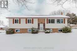 85 HIGH ACRES CRESCENT N Kitchener