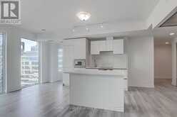 1909 - 238 SIMCOE STREET Toronto