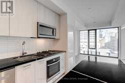 910 - 195 MCCAUL STREET Toronto