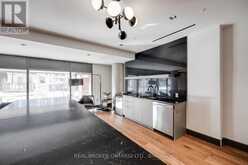 307 - 501 ADELAIDE STREET W Toronto