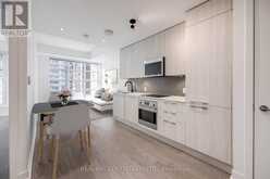 307 - 501 ADELAIDE STREET W Toronto