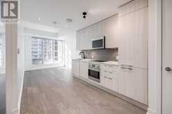 307 - 501 ADELAIDE STREET W Toronto