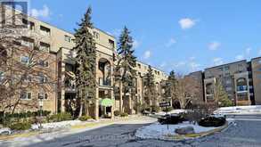 245 - 4005 DON MILLS ROAD Toronto