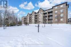 210 - 44 FERNDALE DRIVE S Barrie