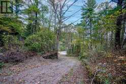 1296 MINERAL SPRINGS ROAD Hamilton