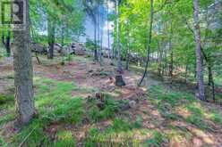 119 GAZELLE TRAIL North Kawartha