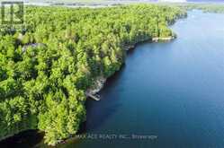 119 GAZELLE TRAIL North Kawartha