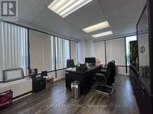 1008 - 250 CONSUMERS ROAD Toronto