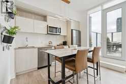 1123 - 121 LOWER SHERBOURNE STREET Toronto