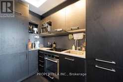 3105 - 87 PETER STREET Toronto