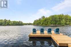 1130 MUSKOKA RD 38 ROAD E Muskoka