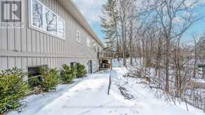 392 COX MILL ROAD Barrie