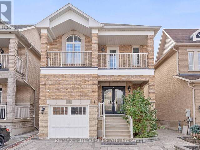 LOWER - 56 TIANA COURT Vaughan Ontario