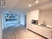 805 - 238 SIMCOE STREET Toronto