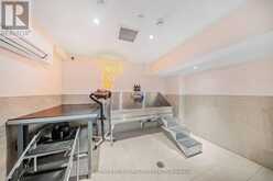 1205 - 484 SPADINA AVENUE Toronto