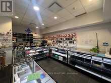 102B - 222 SPADINA AVENUE Toronto