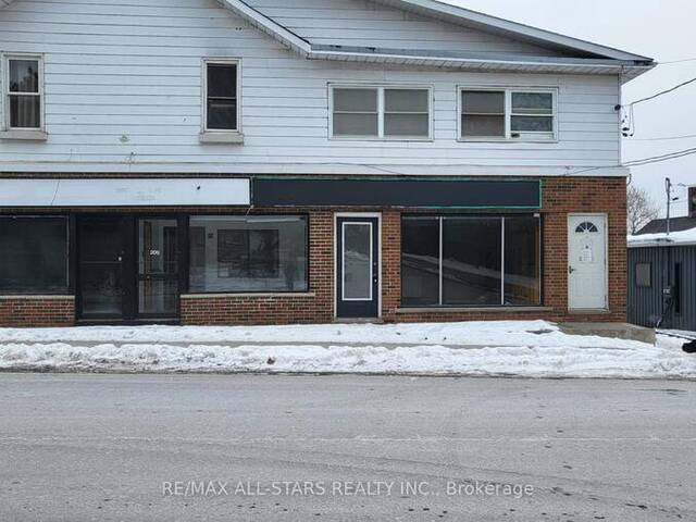 3 - 205 CHURCH STREET Georgina Ontario