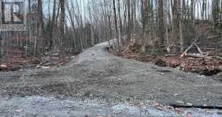 0 RIDING TRAIL Minden Hills