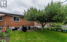 254 APACHE TRAIL Toronto