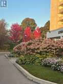 809 - 1360 YORK MILLS ROAD S Toronto