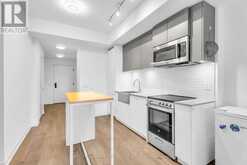 329 - 270 DUFFERIN STREET Toronto