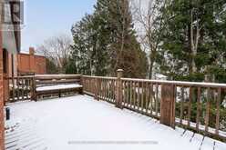 7 TIGERLILY COURT Toronto